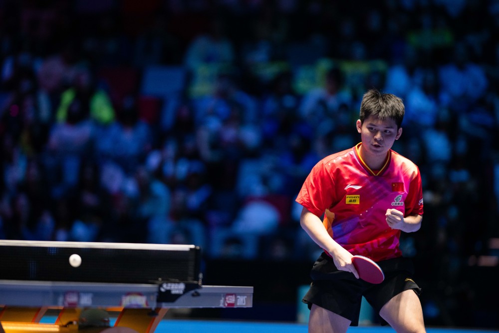 的情绪主导 的情绪主导