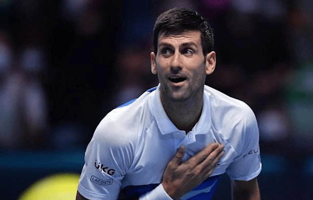 他们有望在 他们有望在