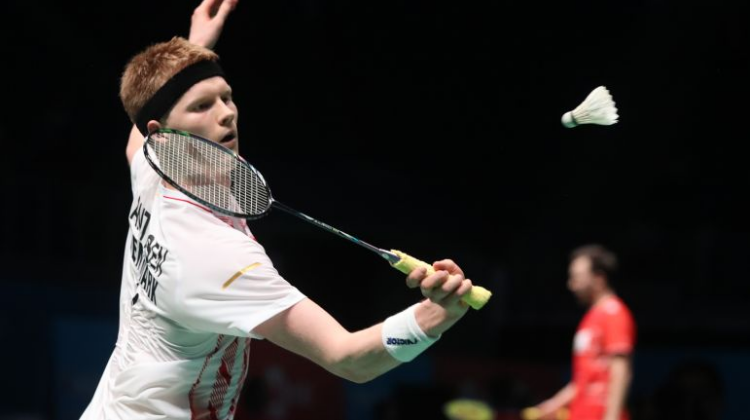 上的迅速成 上的迅速成