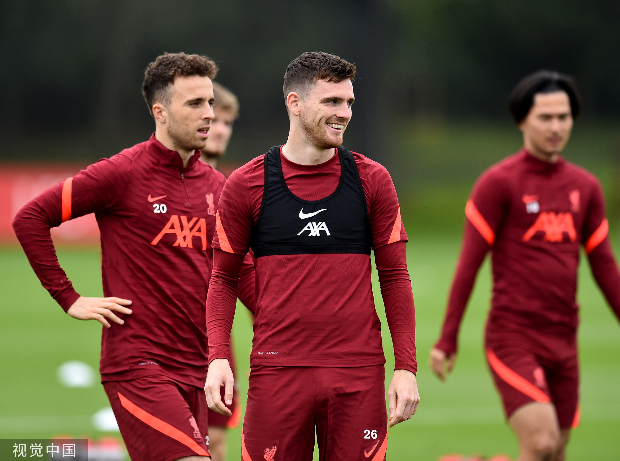 紐西蘭的場 紐西蘭的場